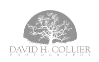 David h. collier photography
