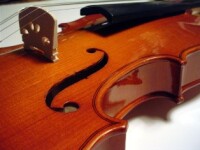 David golber violin