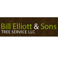 Bill elliott and sons tree service llc