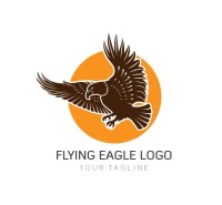 Flying eagle productions