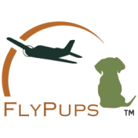 Flypups, inc.