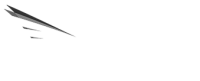 American charter services
