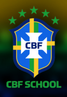 Ginga brazil soccer corporation
