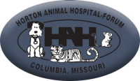 Horton animal hospital forum