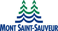 Mont-Saint-Sauveur International (MSSI)