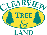 Long island tree care