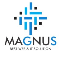 Magnus web design & medical technologies