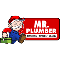 Mr. plumber