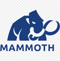 Mammoth financial services inc.
