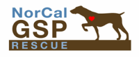 Norcal gsp rescue