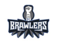 Dc brawlers