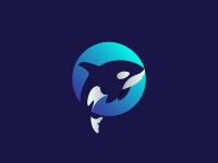 Orca consulting