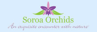 Soroa orchids inc