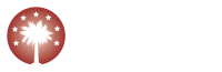 Palmetto family council