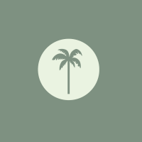 Palm tree branding & web design