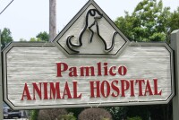 Pamlico animal hospital