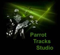 Parrot tracks studio