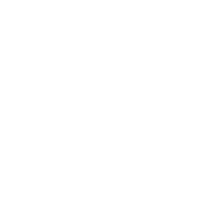 NP Foods