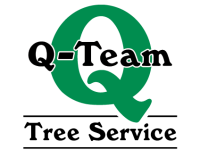 Q-team tree service