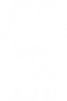 Renzo gracie jiujitsu