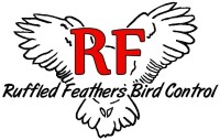 Ruffled feathers bird control