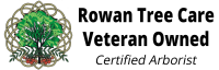 Rowan tree care
