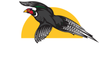 S.a. jordan construction