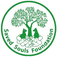 Save our souls foundation