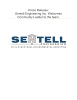 Sentell engineering inc