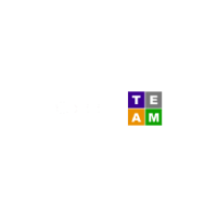 Career TEAM LLC