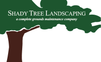 Shade tree landscaping