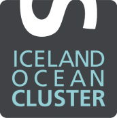 Iceland ocean cluster