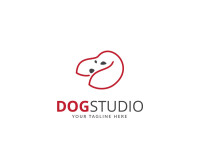 Small dog studios
