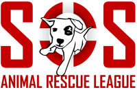 Save one soul animal rescue league