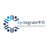 Syntegrate consulting