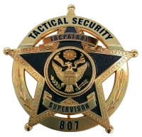 Tactical security chicago