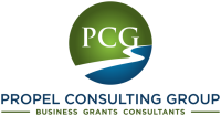The propel consulting group