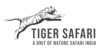 Tiger safari inc