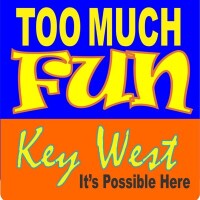 Too much fun key west