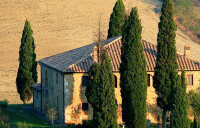 Tuscan properties group llc