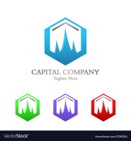 Vector commercial capital