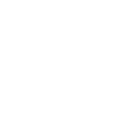 Shreeji pro build group