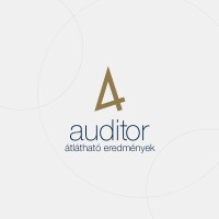 Auditing company "auditor"