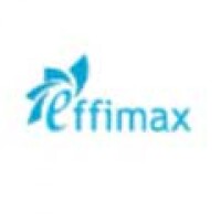 Effimax engineers private limited - india