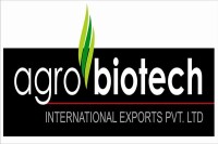 Agro biotech international exports pvt ltd