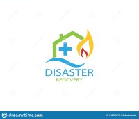 Disaster recovery manager