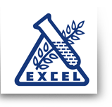 Excell reports pvt. ltd.