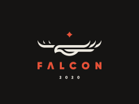 Falcon design & graphics