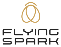 Flyingspark infotech
