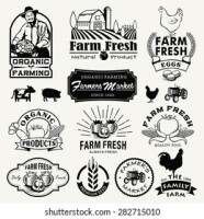 Jensen Farm Produce